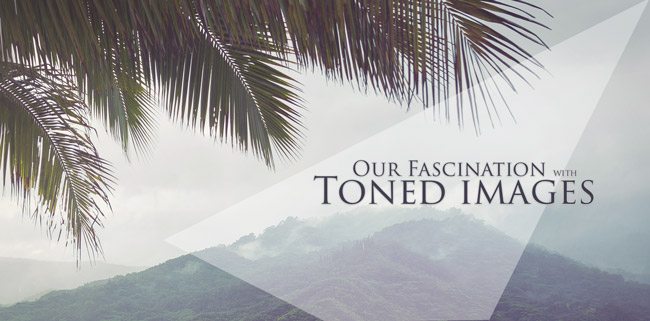 Dynamic-Symmetry-and-Mastering-CompositionTree-and-mountain-Kauai-intro