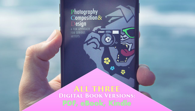 canon-of-design-photography-composition-and-design-book-shoppe