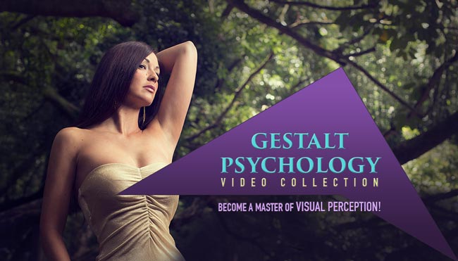 canon-of-design-techniques-for-artistic-photographers-gestalt-psychology-videos-2